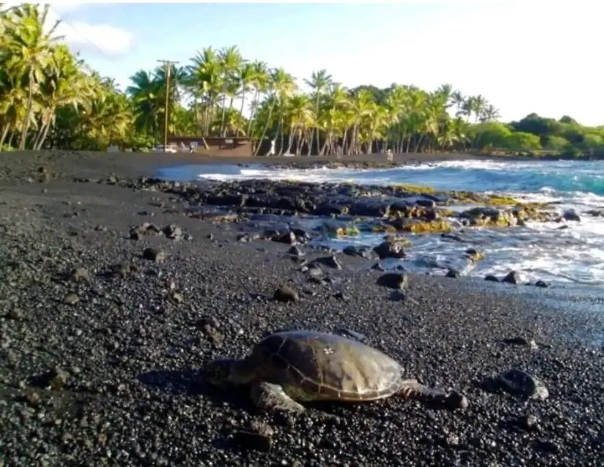 Apartmán Pahoehoe- Hale Kumu La'Au At Volcano USA