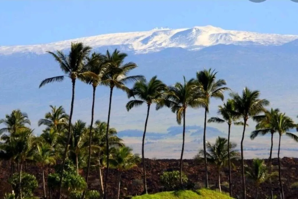 Pahoehoe- Hale Kumu La'Au At Volcano Apartmán